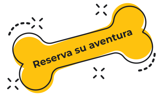 https://i0.wp.com/itsybitsypaw.com/wp-content/uploads/2025/07/book_now-en.png?fit=560%2C330&ssl=1